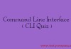Command Line Interface ( CLI ) Quiz