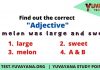 Free Adjective English Grammar practice Quiz/Test/Exercise – 2 free adjective English grammar practice test