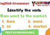 Free Verb English Grammar Test/Quiz with Answers-1 Free verb English Grammar test_quiz 1