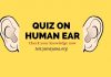 ear question answer test medical questions
