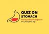 stomach Important question answer digestive system