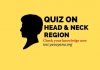 Head and neck region objective quiz