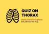 quiz on thorax