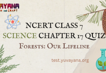 NCERT Class 7 Science Chapter 17 MCQ test with answers : Forests: Our Lifeline