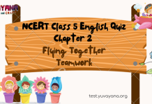 NCERT Class 5 English MCQ Test Chapter 2: Flying Together Teamwork