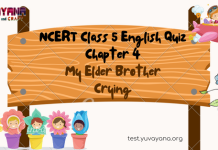 NCERT Class 5 English MCQ Test Chapter 4: My Elder Brother Crying