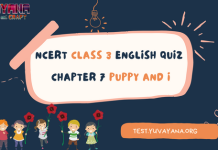 NCERT Class 3 English MCQ Test Chapter 7: Puppy and I