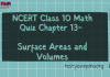 NCERT Class 10 Maths Chapter 13 MCQ Test – Surface Areas and Volume