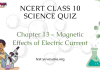 NCERT Class 10 Science Chapter 13 Quiz : Magnetic Effects of Electric Current