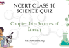 NCERT Class 10 Science Chapter 14 Quiz : Sources of Energy