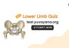 Lower limb MCQs Quiz with answers lower limb anatomy mcq questions and answers