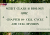 NCERT Class 11 Biology Chapter 10 MCQ Quiz with answers – Cell Cycle and Cell Division