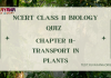 NCERT Class 11 Biology Chapter 11 MCQ Quiz with answers – Transport in Plants