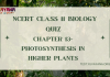 NCERT Class 11 Biology Chapter 13 MCQ Quiz with answers – Photosynthesis in Higher Plants