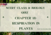 NCERT Class 11 Biology Chapter 14 MCQ Quiz with answers – Respiration in Plants