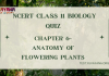 NCERT Class 11 Biology Chapter 6 MCQ Quiz with answers – Anatomy of Flowering Plants