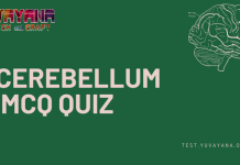 Anatomy – Cerebellum MCQ Quiz