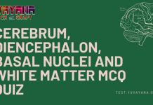 Anatomy – Cerebrum, Diencephalon, Basal Nuclei and White Matter MCQ Quiz