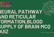 Anatomy – Neural pathway and Reticular Formation, Blood Supply of Brain MCQ Quiz