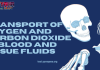 Physiology - Transport of Oxygen and Carbon Dioxide in Blood and Tissue Fluids MCQ Quiz