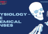 Physiology – The Chemical Senses MCQ Quiz