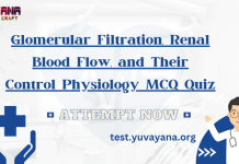 Glomerular Filtration, Renal Blood Flow, and Their Control Physiology MCQ Quiz