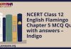 NCERT Class 12 English Flamingo Chapter 5 MCQ Quiz with answers – Indigo