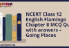 NCERT Class 12 English Flamingo Chapter 8 MCQ Quiz with answers – Going Places