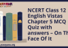 NCERT Class 12 English Vistas Chapter 5 MCQ Quiz with answers – On The Face Of It