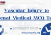 Vascular Injury to Renal Medical MCQ Test