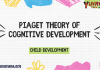 Piaget theory of cognitive development - Child Development MCQ Quiz with Answers