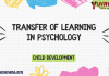 Transfer of Learning in Psychology