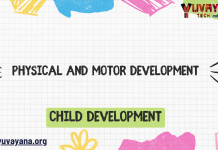 Physical and Motor Development – Child Development MCQ Quiz with Answers